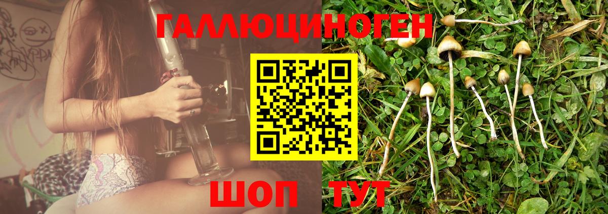 Гатчина  Галлюциногенные грибы ЛСД  Галлюциногенные грибы Psilocybine cubensis  Вход с VPN 