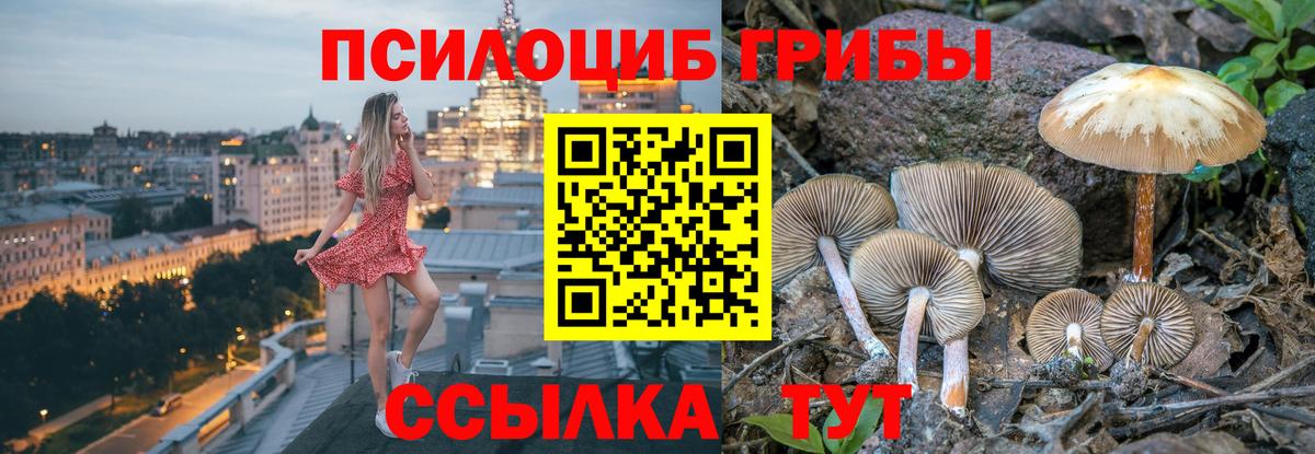 Галлюциногенные грибы Magic Shrooms Гатчина